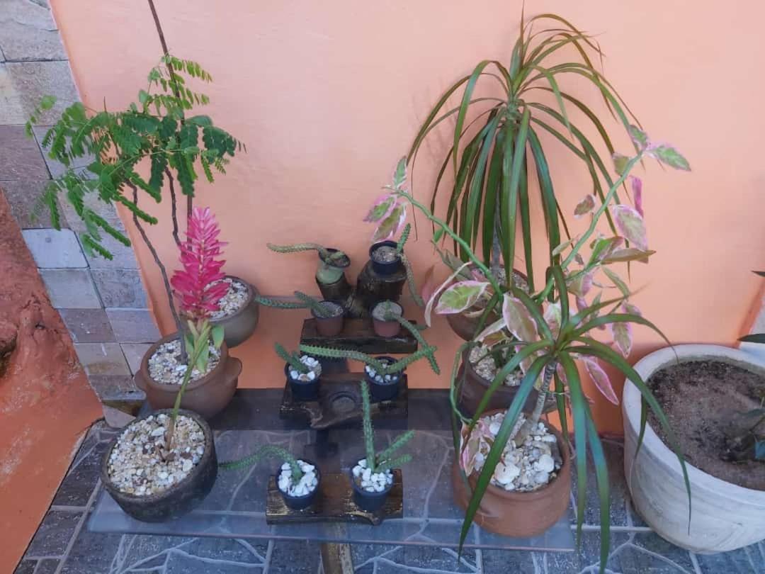 Pousada Terra Do Sol Pipa Praia de Pipa Eksteriør billede