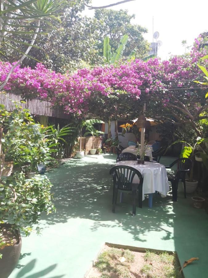 Pousada Terra Do Sol Pipa Praia de Pipa Eksteriør billede
